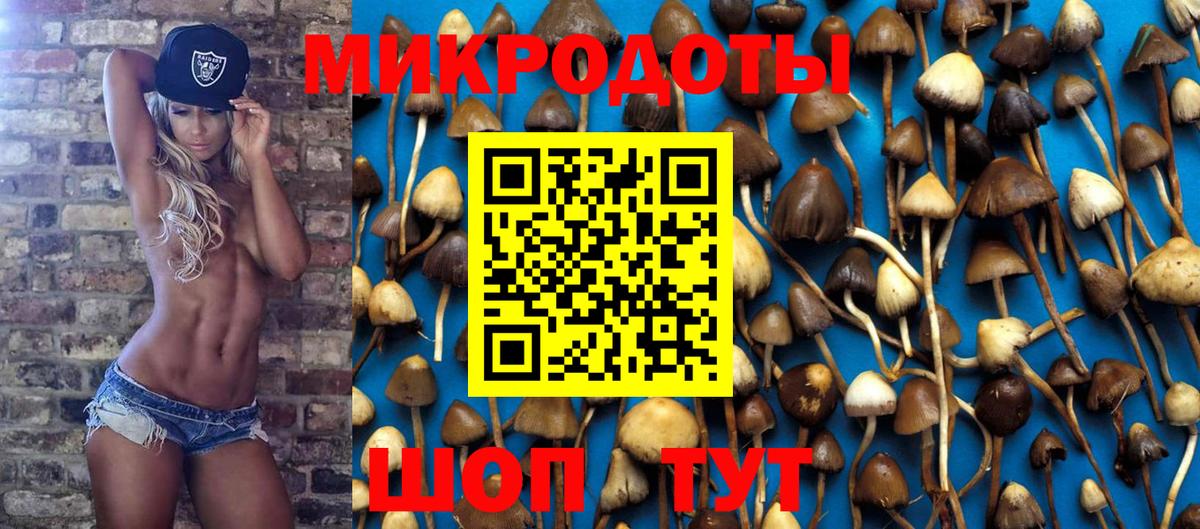 Псилоцибиновые грибы прущие грибы  Вход с VPN  Киров 